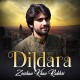 Dil Dil Dildara - Karaoke Mp3 - Zeeshan Rokhri - Saraiki - Sindhi