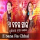 E bana Ra Chhai - Karaoke Mp3 - Namita Agrawal - RS Kumar - Odia
