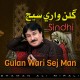 Gulan Wari Sej Man - Karaoke Mp3 - Shaman Ali Mirali - Sindhi