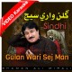 Gulan Wari Sej Man - Mp3 + VIDEO Karaoke - Shaman Ali Mirali - Sindhi