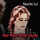 Har Pasey Dhol Vajde - Karaoke Mp3 - Naseebo Lal