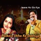 Palkein Utha Ke Dekhiye - Karaoke Mp3 - Udit Narayan - Anuradha Paudhwal