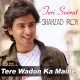 Tere Wadon Ka Maine Aitbaar - Karaoke Mp3 - Shehzad Roy