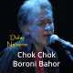 Chaki Chaki Barani Bahar - Karaoke mp3 - Daler Nazarov