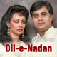 Dil-E-Nadan Tujhe Karaoke Mp3 - Jagjit Singh, Chitra Singh