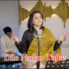 Dile Nadan Tujhe Hua Kya Hai - Live - Karaoke Mp3 - Kavita Seth