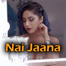 Nai Jaana - Punjabi Folk - Karaoke mp3 - Neha Bhasin