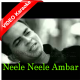 Neele Neele Ambar - Remix - Mp3 + VIDEO Karaoke - Nitin Bali
