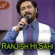Ranjish Hi Sahi - Karaoke mp3 - Faraz Butt