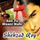 Saali tu maani nahi - Karaoke Mp3 - Shehzad Roy - Munnu Bhai