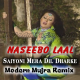 Saiyyo ni mera dil dhadke - Remix - Karaoke Mp3 - Naseebo Lal - Mujra Style