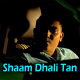 Shaam Dhali Tan Tana Tan - Free Style - Karaoke Mp3 - Amrish Persaud