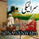 Sona Sanwala - Saraeki - Folk Song - Karaoke mp3 - Sajjad Baig