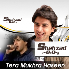 Tera mukhra haseen jadu - Karaoke Mp3 - Shehzad Roy