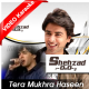Tera mukhra haseen jadu - Mp3 + VIDEO Karaoke - Shehzad Roy