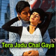 Tera Jadu Chal Gaya - Karaoke Mp3 - Sonu Nigam