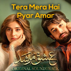 Tera Mera Hai Pyar Amar - OST  - Mp3 + VIDEO Karaoke - Ahmed Jahanzeb