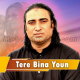 Tere Bina Youn - Karaoke mp3 - Naseem Ali Siddiqui