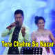 Tere Chehre Se Nazar Nahi - Karaoke mp3 - Alok katdare, Mona Kamat