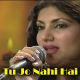 Tu Jo Nahi Hai - Karaoke mp3 - Saira Naseem