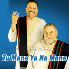 Tu Mane Ya Na Mane Dildara - Karaoke mp3 - Wadali Brothers