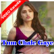 Tum Chale Gaye - Male Version - Mp3 + VIDEO Karaoke - Yasser Desai
