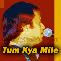 Tum Kya Mile Zindagi Mili - Karaoke mp3 - Alamgir