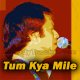 Tum Kya Mile Zindagi Mili - Karaoke mp3 - Alamgir