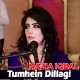 Tumhen Dillagi Bhool Jani - Without Chorus - Karaoke Mp3 - Nazia Iqbal