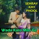 Wada Karo Milo Ge Kal Phir - Karaoke Mp3 - Ahmed Rushdi