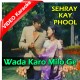 Wada Karo Milo Ge Kal Phir - MP3 + VIDEO Karaoke - Ahmed Rushdi