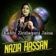 Kabhi Zindagani Jaisa - Karaoke Mp3 - Nazia Hassan