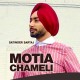 Motiyan Chameli - Karaoke Mp3 - Satinder Sartaaj - Punjabi