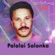 Palalai Salonka Benazena - Karaoke Mp3 - Yousaf Baloch 2020