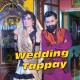 Wedding Tappay - Karaoke Mp3 - Mazhar Rahi - Falak Ijaz Ft Deedar - Fiza Muneeb - Punjabi