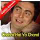 Chehra hai ya chand khila - Version 2 - Mp3 + VIDEO Karaoke - Kishore Kumar
