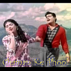 Chaman Ke Phool Bhi Tujhko Karaoke