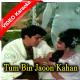 Tum Bin Jaoon Kahan - Mp3 + VIDEO Karaoke - Pyar Ka Mausam - 1969 - Rafi